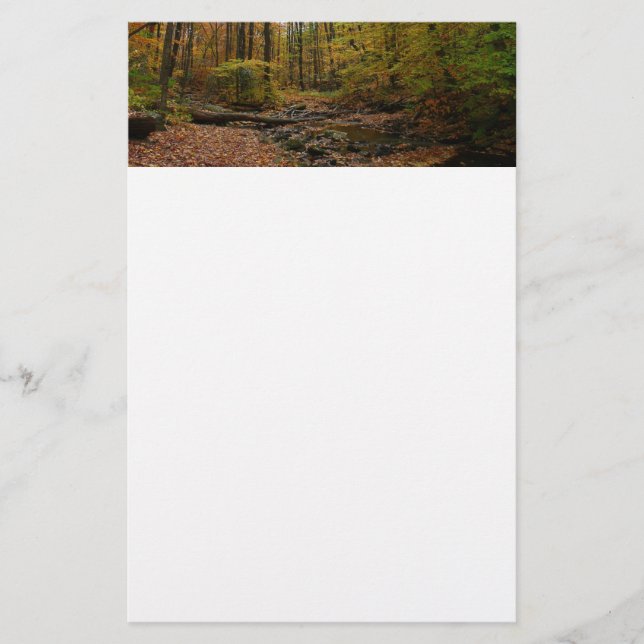 Fall Creek vid Laurel Hill State Park Pennsylvania Brevpapper (Framsida)