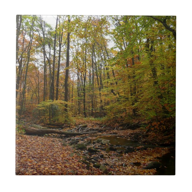 Fall Creek vid Laurel Hill State Park Pennsylvania Kakelplatta (Framsidan)