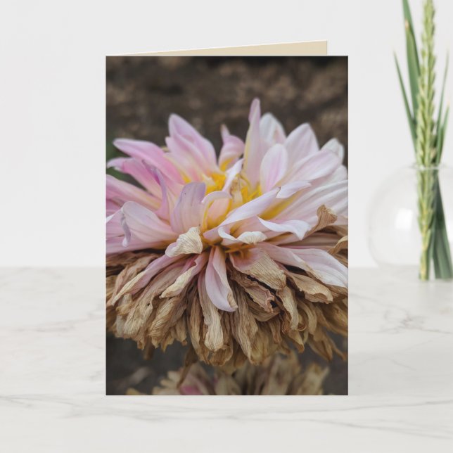 Fall Dahlia Blank Greeting Card Kort (Framsida)