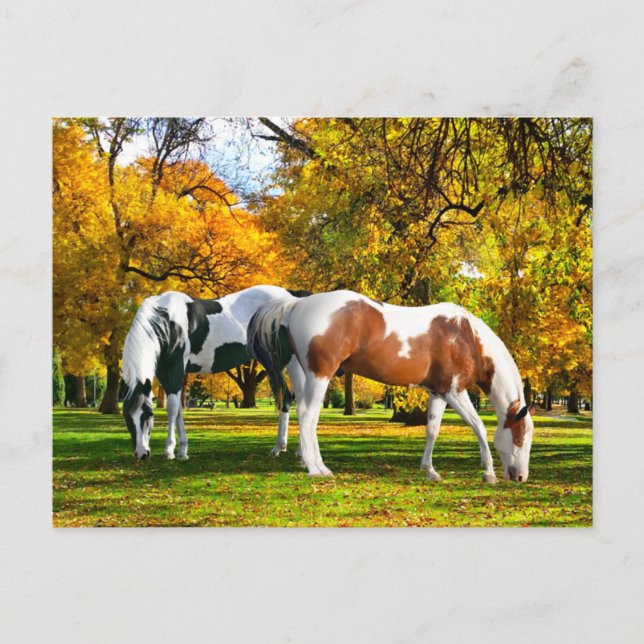 "Fall eftermiddag" Vykort (Framsida)