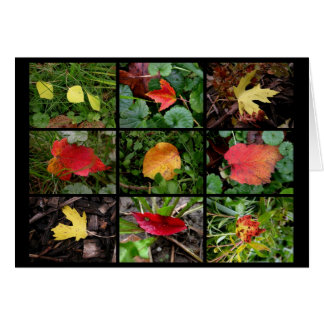 Fall(en) beauties hälsningskort