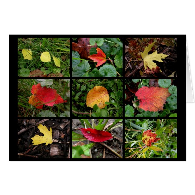 Fall(en) beauties hälsningskort (Framsidan Horizontal)