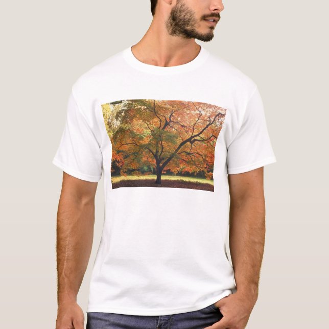 Fall Fall Träd T-shirt (Framsida)