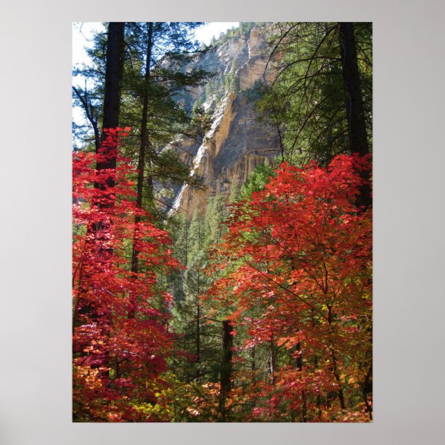 Fall Fantasy (15) Poster (Framsidan)