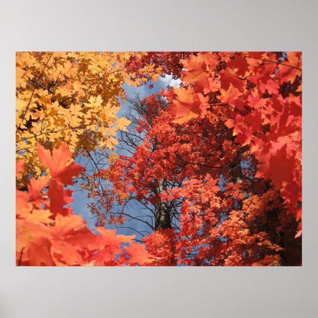 Fall Fantasy (2) Poster (Framsidan)