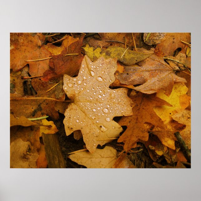 Fall Fantasy (30) Poster (Framsidan)