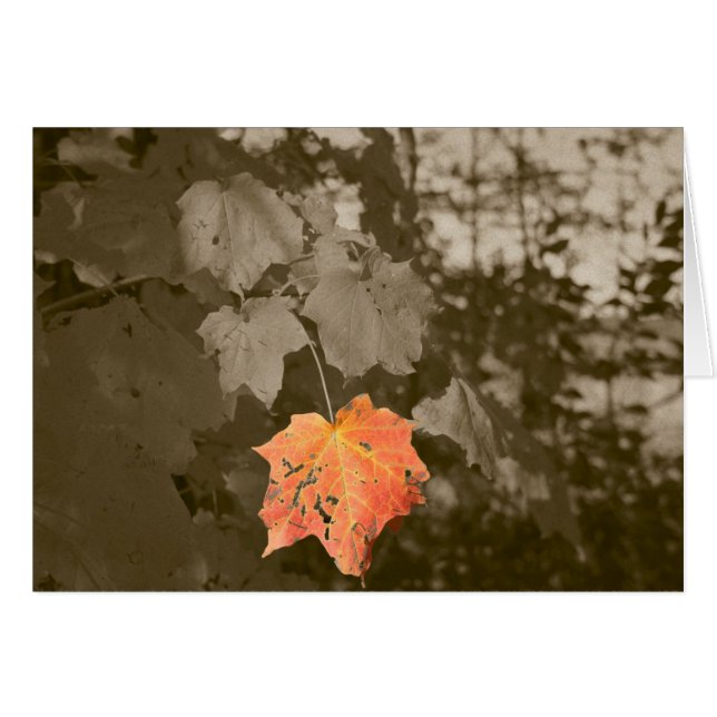 Fall Färg Hälsningskort (Framsidan Horizontal)