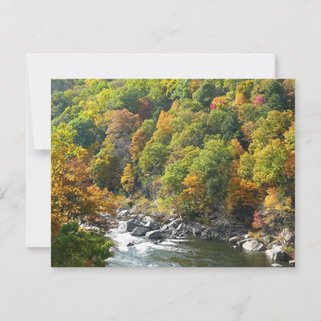 Fall Färg i Ohiopyle State Park (Framsida)