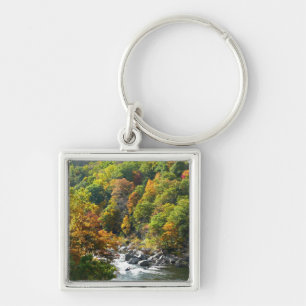 Fall Färg i Ohiopyle State Park Fyrkantig Silverfärgad Nyckelring