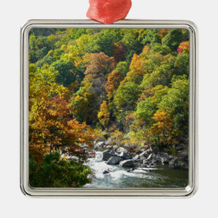 Fall Färg i Ohiopyle State Park Julgransprydnad Metall