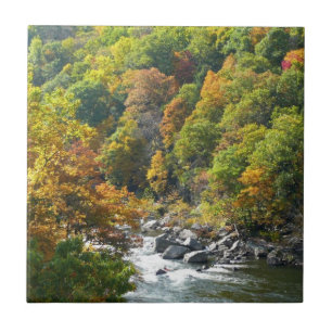 Fall Färg i Ohiopyle State Park Kakelplatta