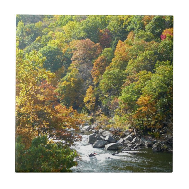Fall Färg i Ohiopyle State Park Kakelplatta (Framsidan)