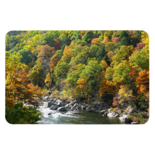 Fall Färg i Ohiopyle State Park Magnet