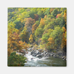 Fall Färg i Ohiopyle State Park Magnet