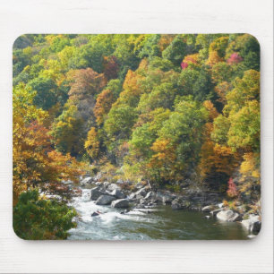 Fall Färg i Ohiopyle State Park Musmatta