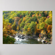 Fall Färg i Ohiopyle State Park