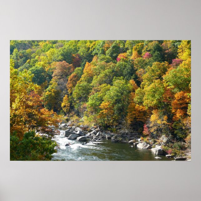 Fall Färg i Ohiopyle State Park Poster (Framsidan)