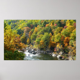 Fall Färg i Ohiopyle State Park Poster