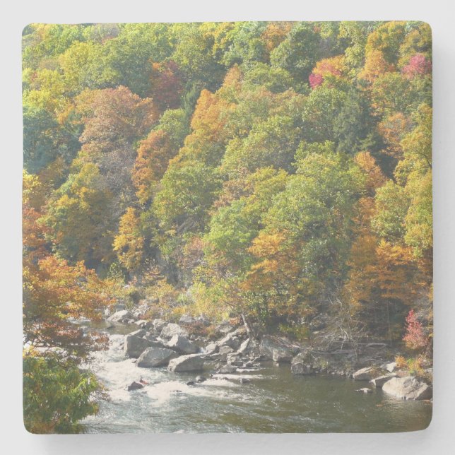Fall Färg i Ohiopyle State Park Stenunderlägg (Framsidan)