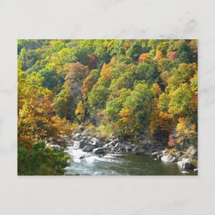 Fall Färg i Ohiopyle State Park Vykort