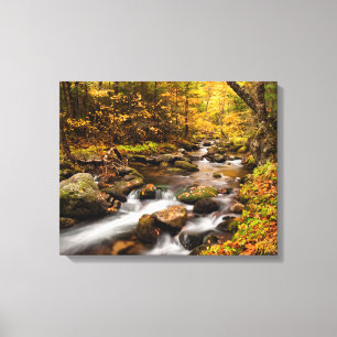 Fall Färg Jefferson Brook   Vita berg Canvastryck