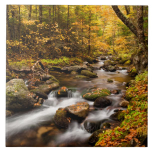 Fall Färg Jefferson Brook   Vita berg Kakelplatta