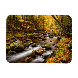 Fall Färg Jefferson Brook   Vita berg Magnet