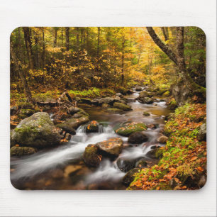 Fall Färg Jefferson Brook   Vita berg Musmatta