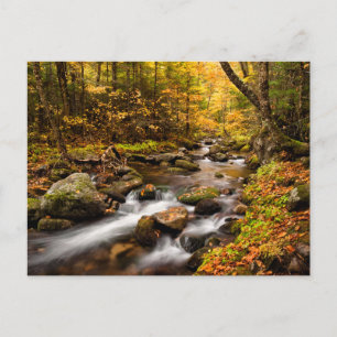 Fall Färg Jefferson Brook Vita berg Vykort