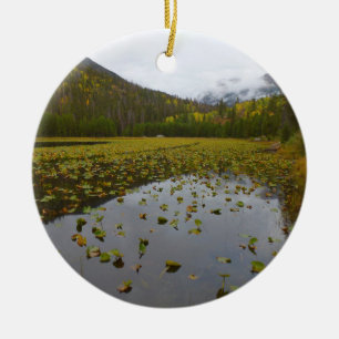 Fall Färg vid Unge Sjö Julgransprydnad Keramik