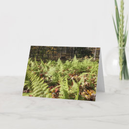 Fall Ferns Kort