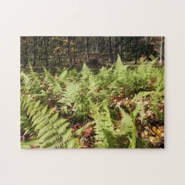 Fall Ferns Pussel