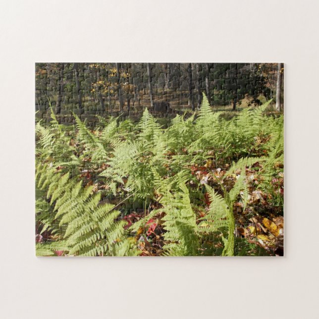 Fall Ferns Pussel (Horisontell)