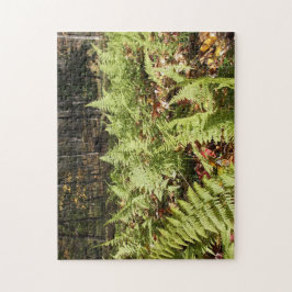 Fall Ferns Pussel