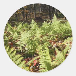 Fall Ferns Runt Klistermärke