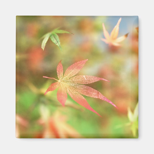 Fall Filigree Magnet (Framsidan)