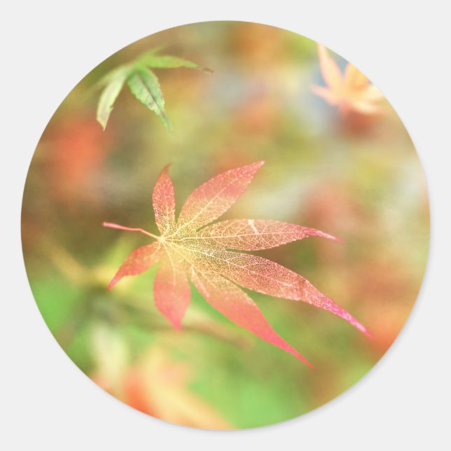 Fall Filigree Stickers Runt Klistermärke (Framsida)