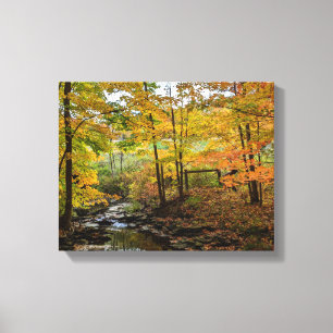 Fall Foliage Canvastryck