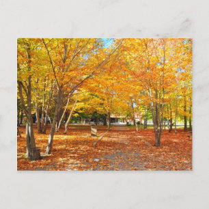 Fall Foliage Canyon Sainte Anne Quebec-vykort Vykort