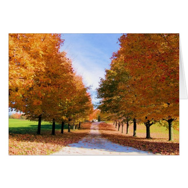 Fall Foliage Card OBS Kort (Framsidan Horizontal)
