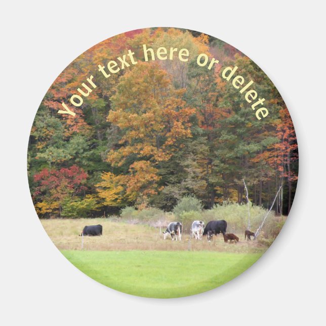 Fall Foliage Cows Nature Personlig Fält Magnet (Framsidan)