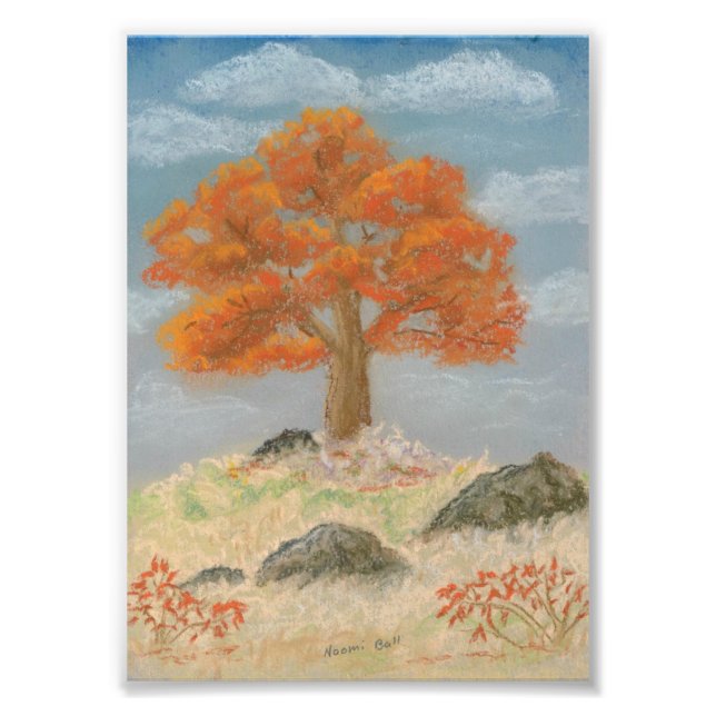 Fall Foliage Fototryck (Framsidan)