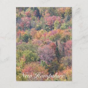 Fall Foliage, Franconia Notch State Park, NH Vykort