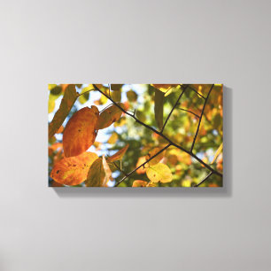Fall Foliage Höst löv Nature Träd Fotography Canvastryck