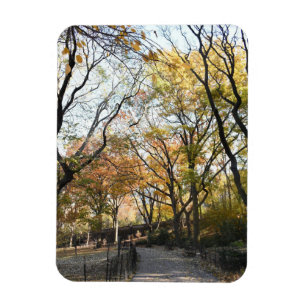 Fall Foliage Höst löv Nature Träd Fotography Magnet