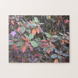 Fall Foliage Höst löv Nature Träd Fotography Pussel