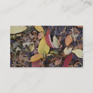 Fall Foliage Höst löv Nature Träd Fotography Visitkort