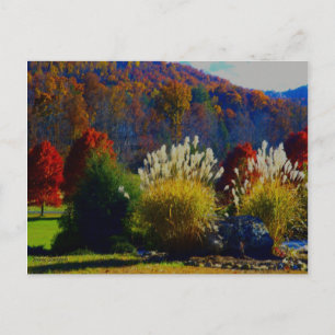 Fall Foliage i bergen Vykort