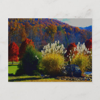 Fall Foliage i bergen Vykort