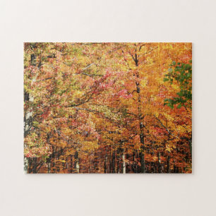 Fall Foliage i New England Pussel